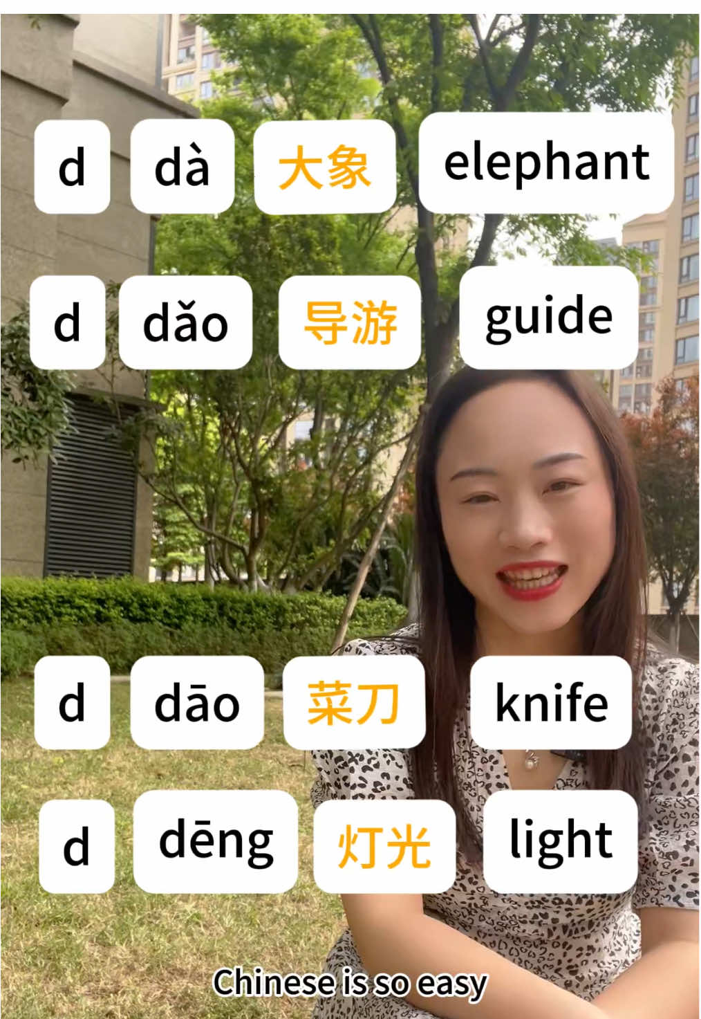 Chinese pinyin d. 大象🐘导游⛳️菜刀🔪风光💡got | Chinese teacher Lingyan (@chinese ...