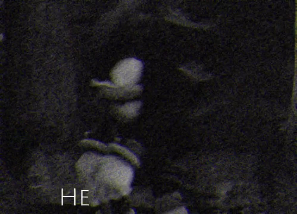 @ASTRO
