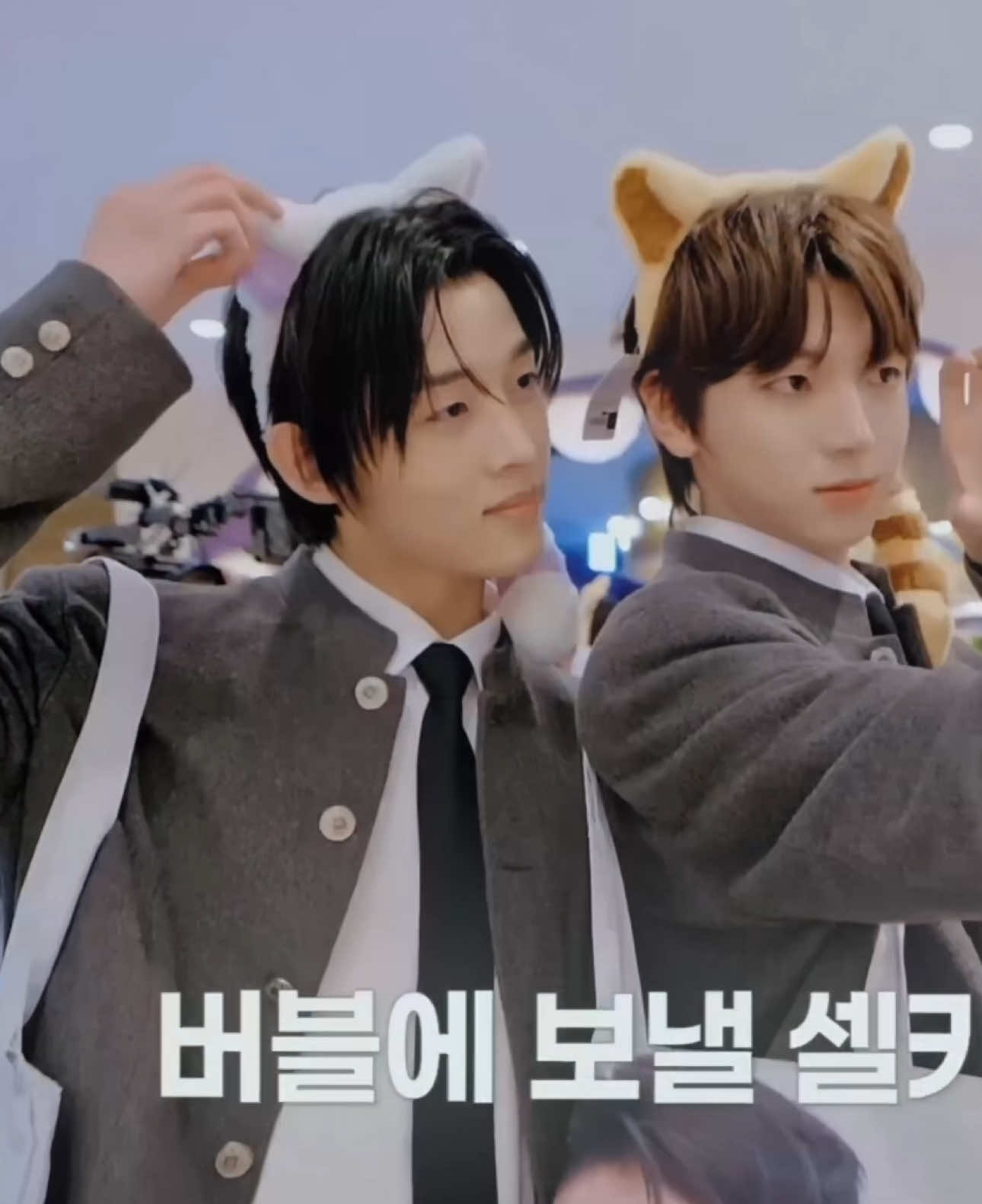 @stesha wonbin debut