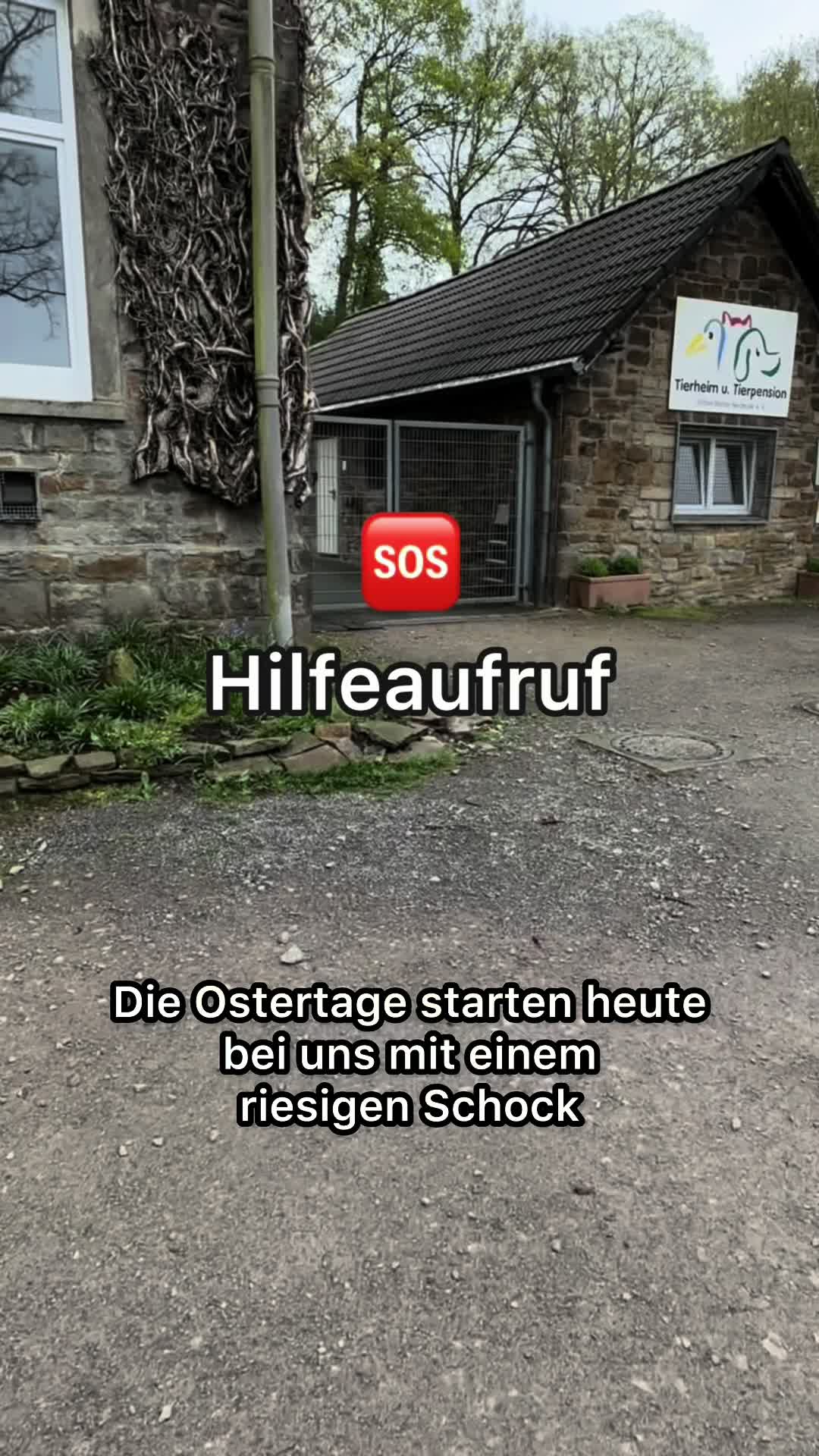 @Tierheim Witten e.V.
