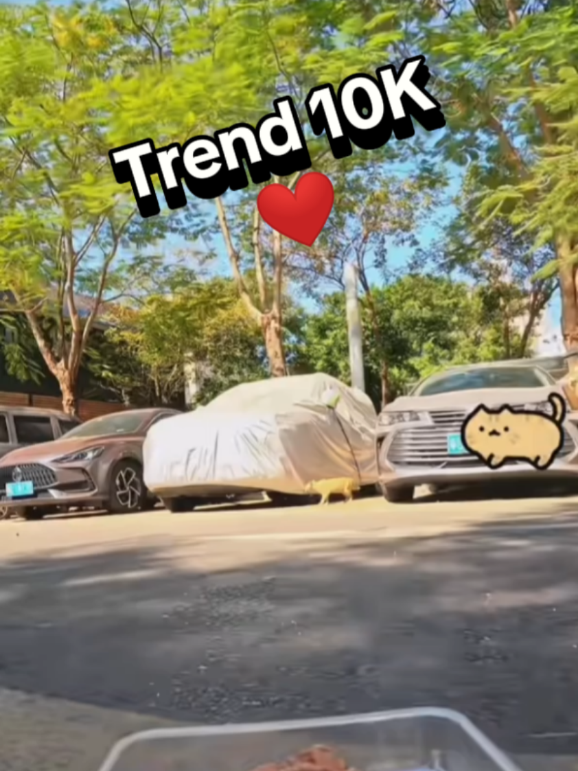 @Douyin.Surf 🏄