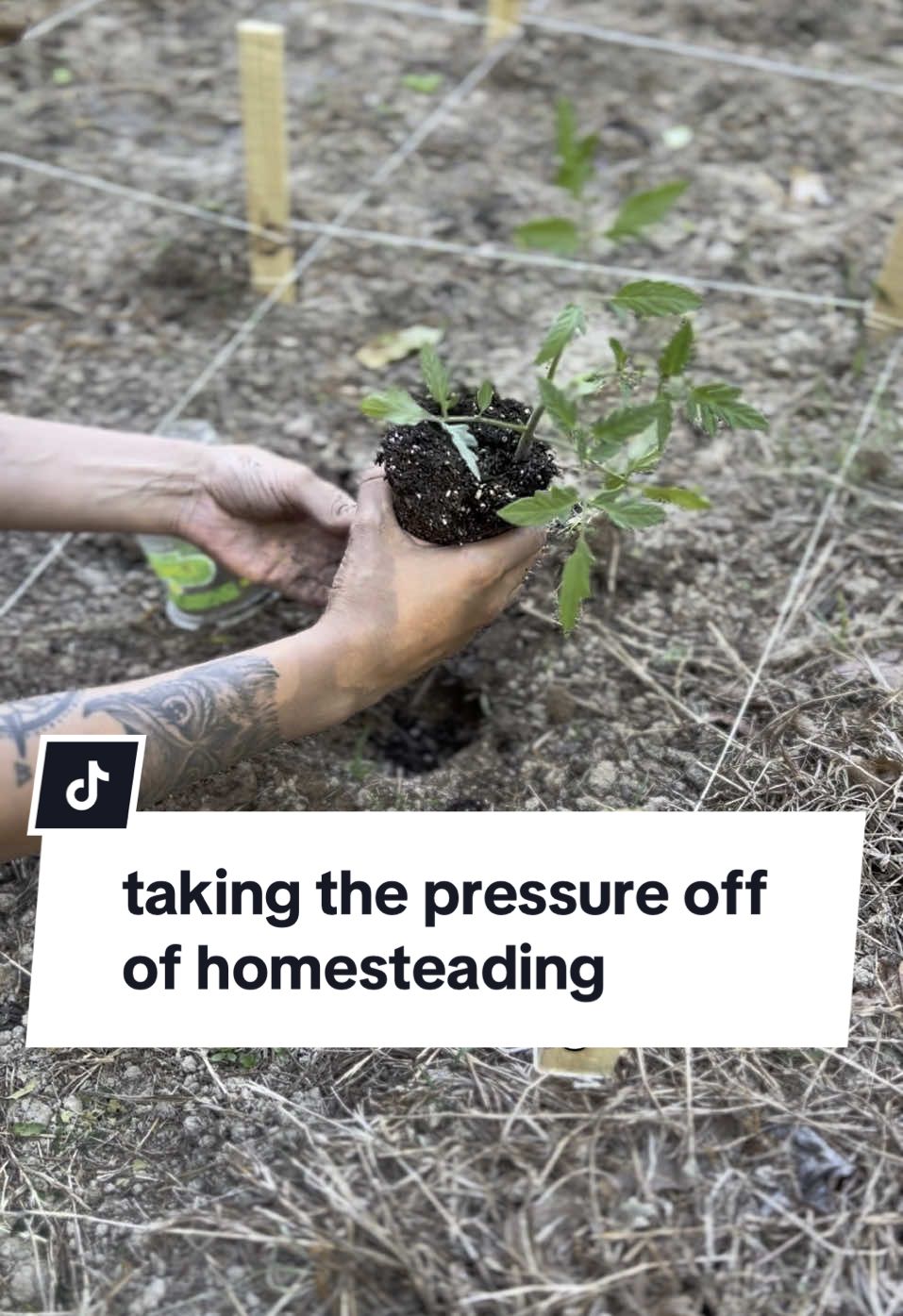 @Felice | Homesteading Mama 🌾