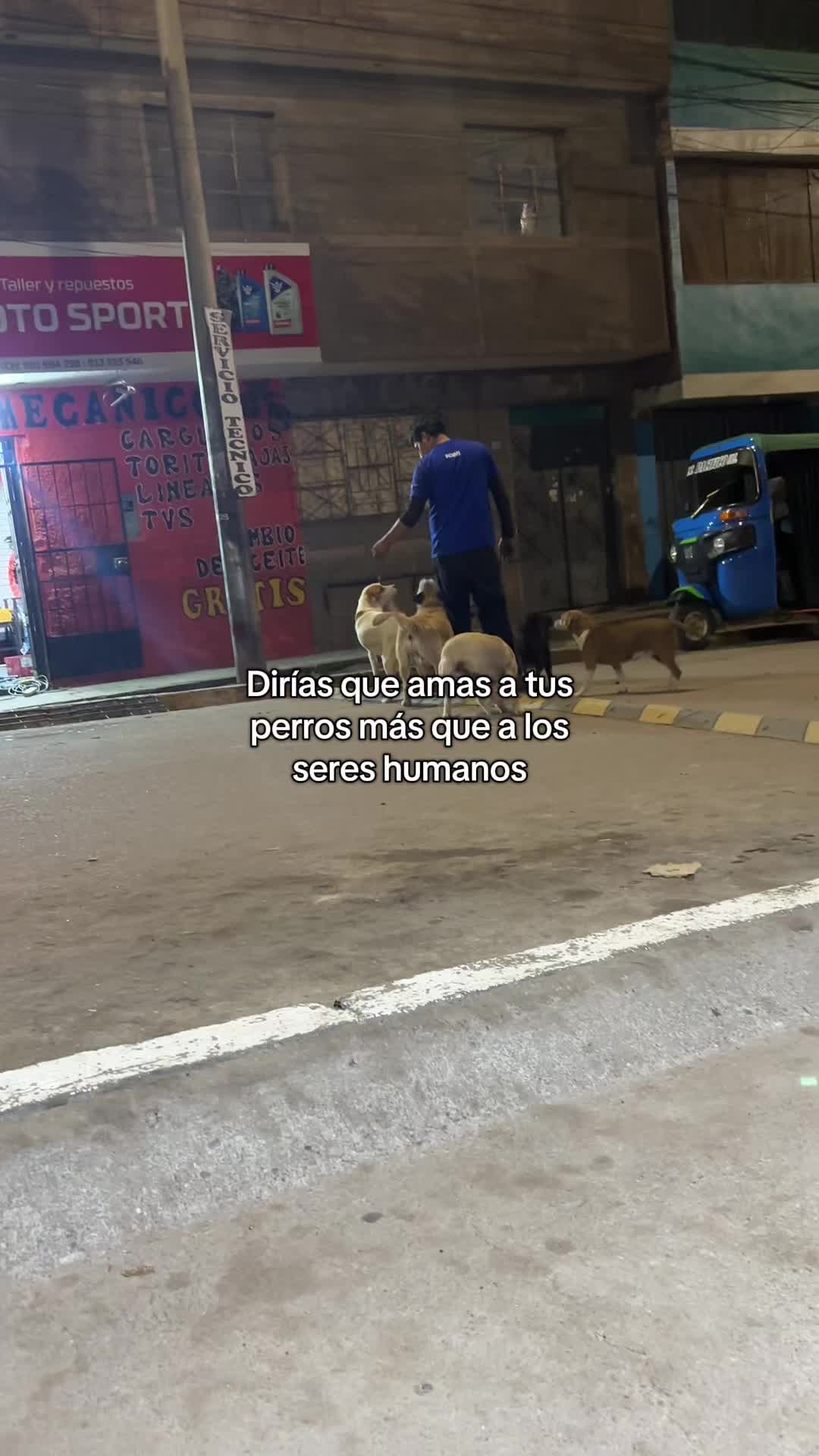 @Cabezotas 🐶
