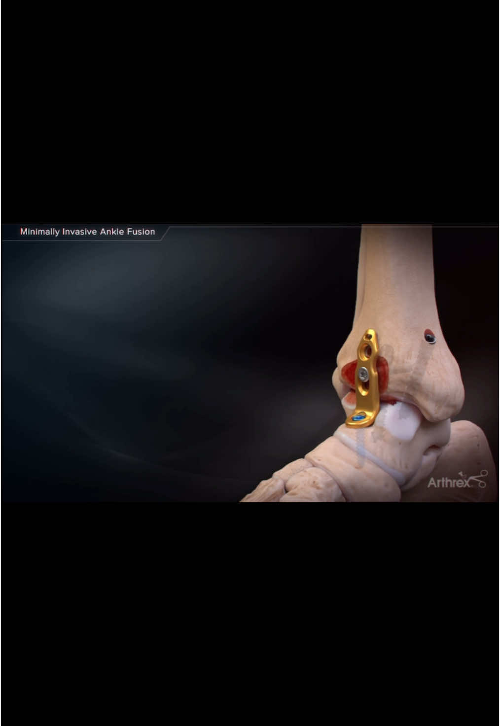 @Anatomias