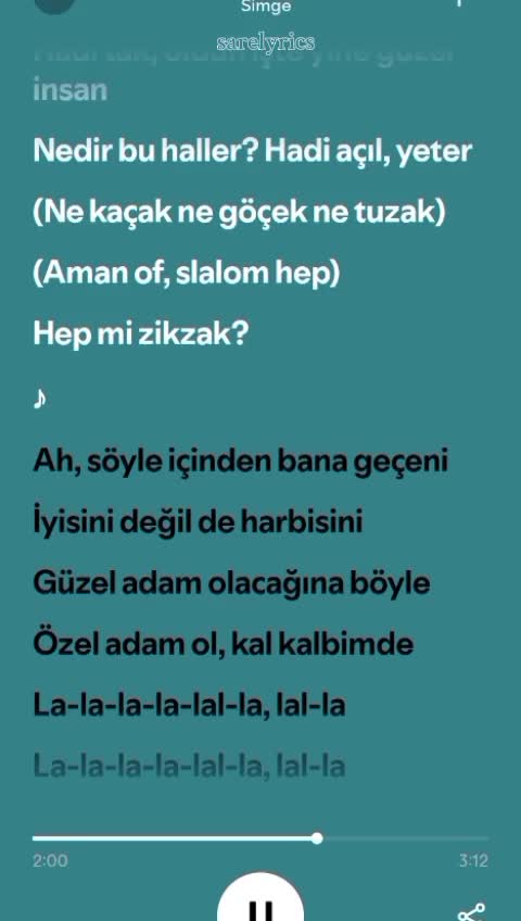 @sarelyrics