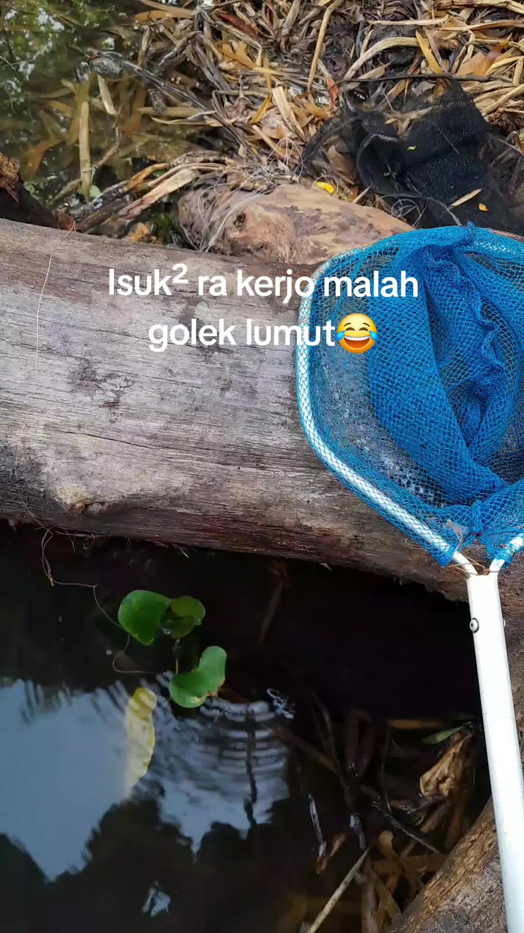 @RM.STWN