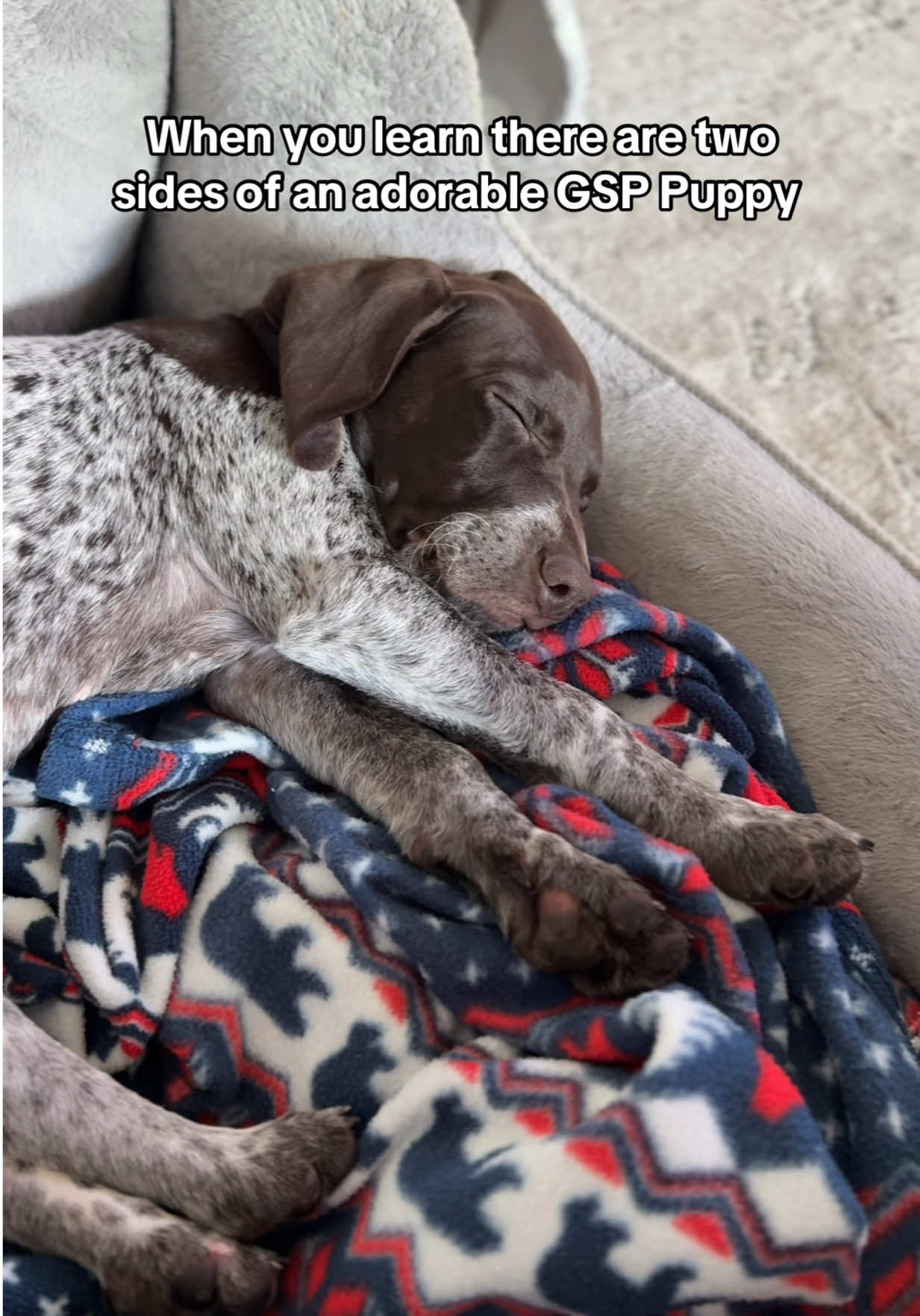 @Beau The Birddog