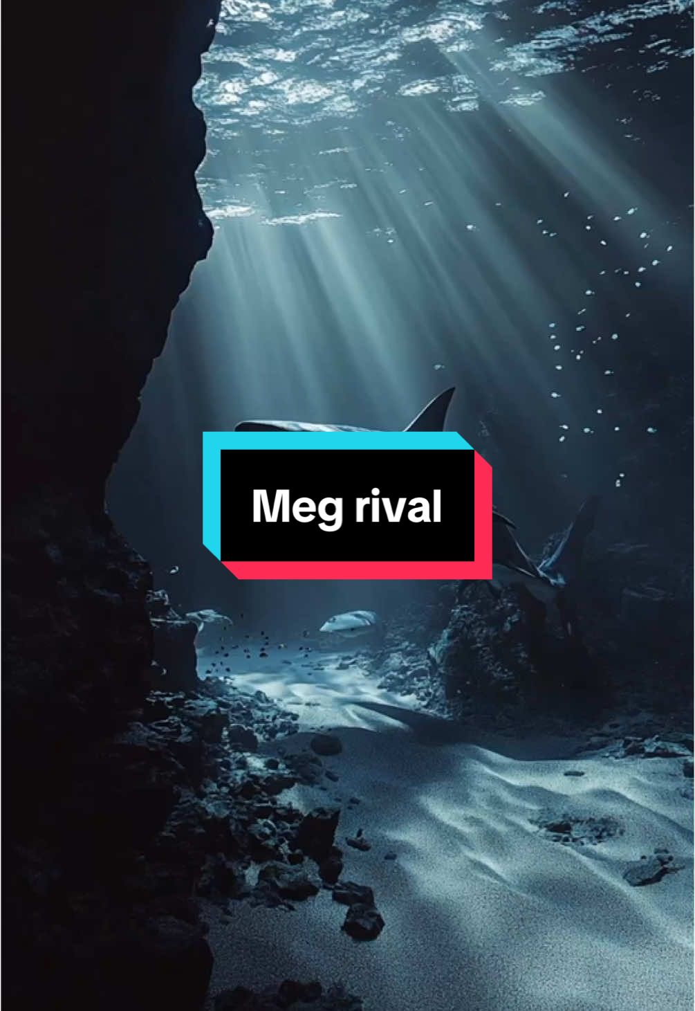 @RevealingRevelations