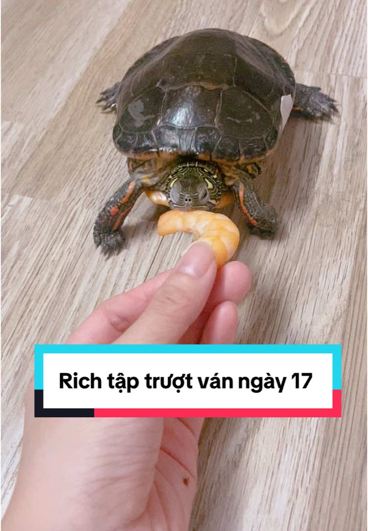 @Nh&agrave; c&oacute; r&ugrave;a v&agrave; ch&oacute;