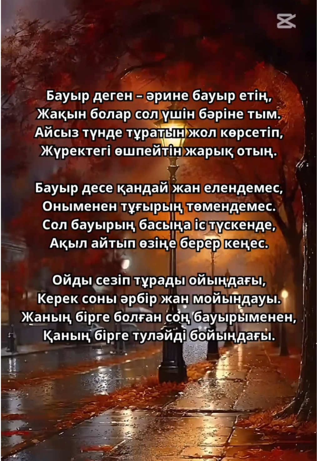 @aray_dinasil