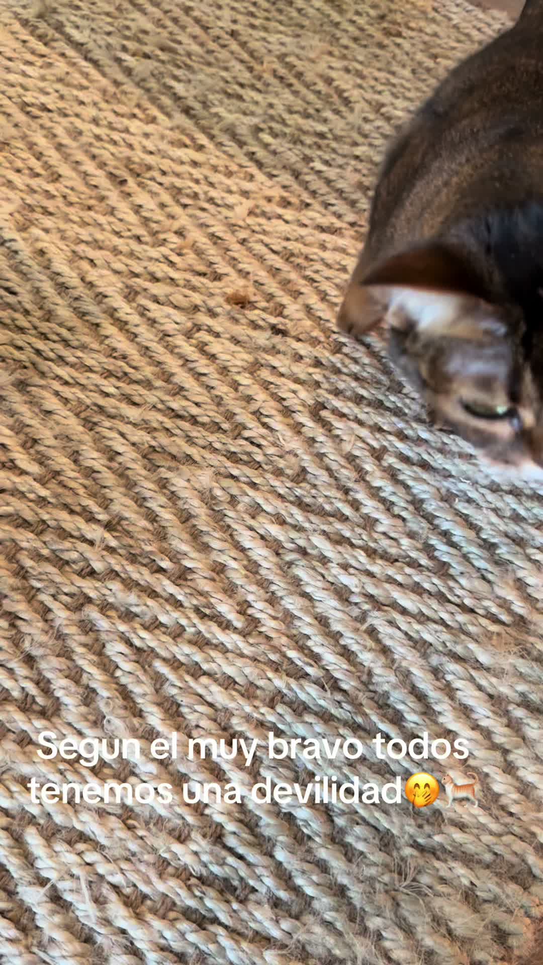 @Ana