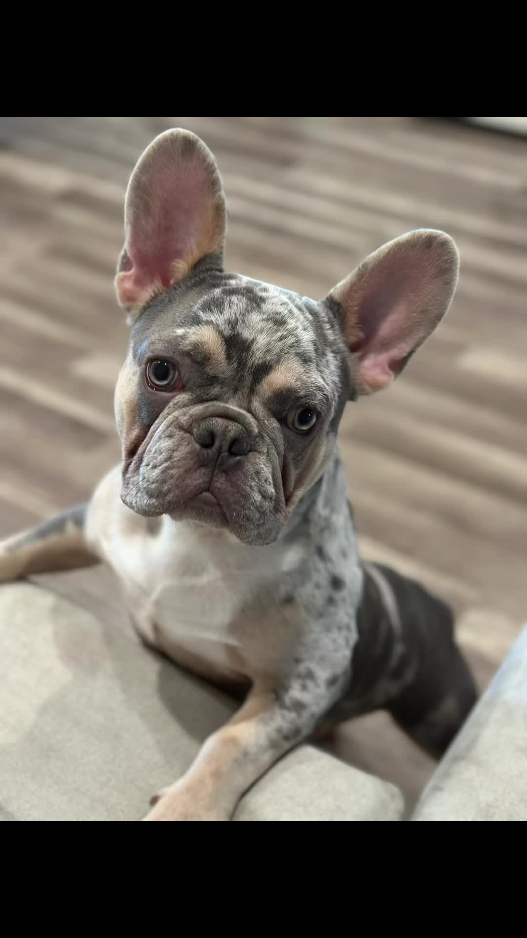 @Lilmrsrico 🍒