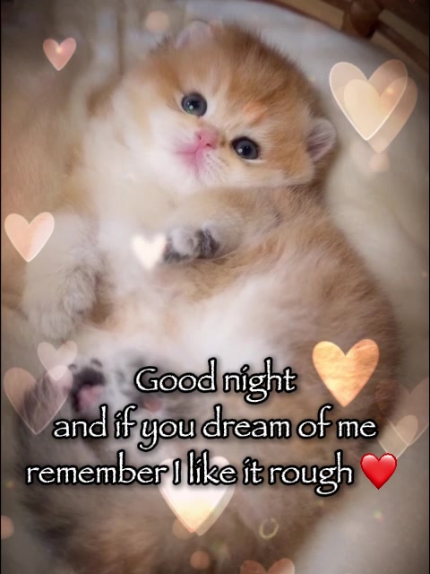 @VyyPilgrim72