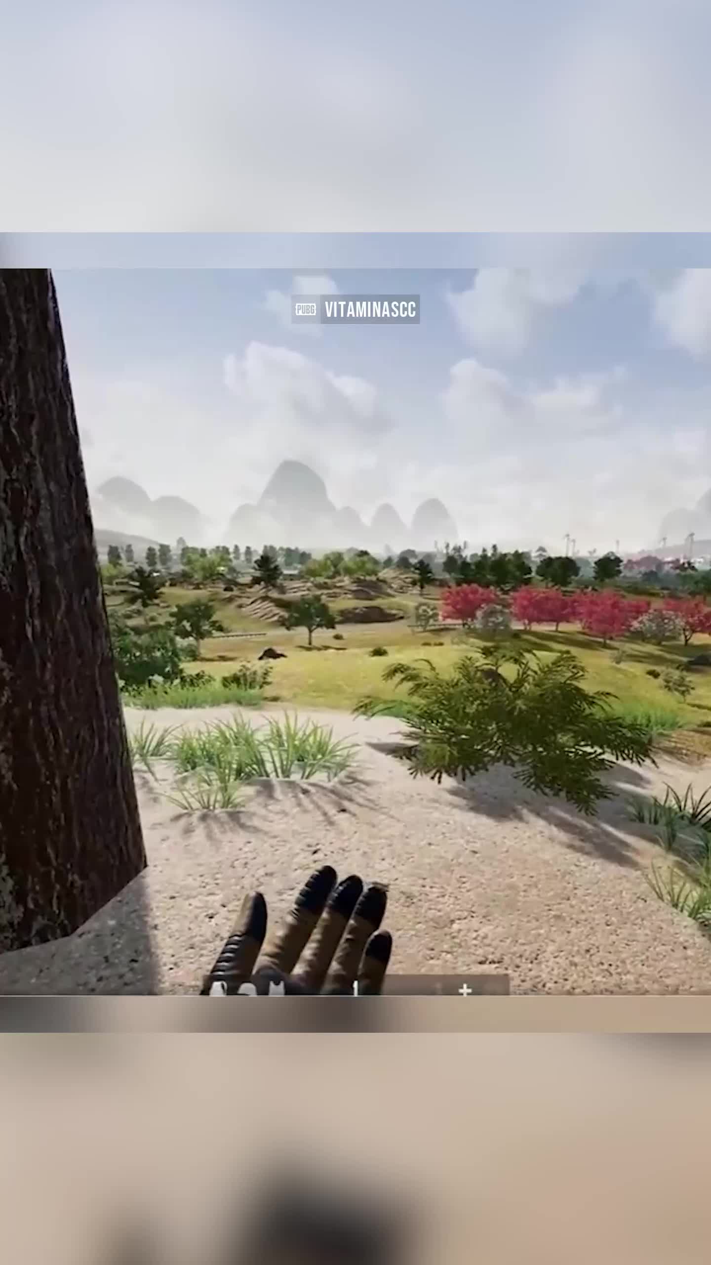 @PUBG TV