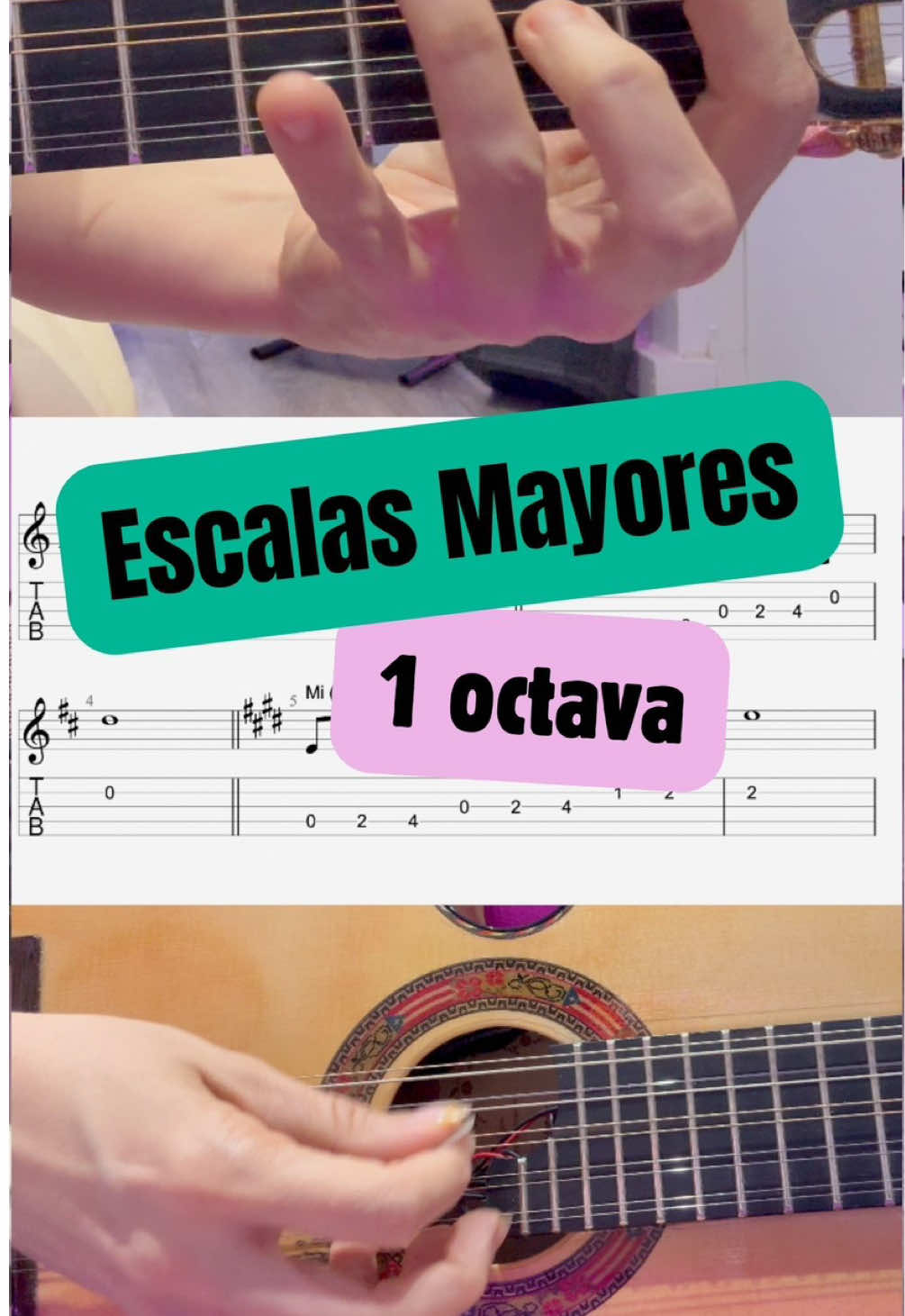 @lacuatrista
