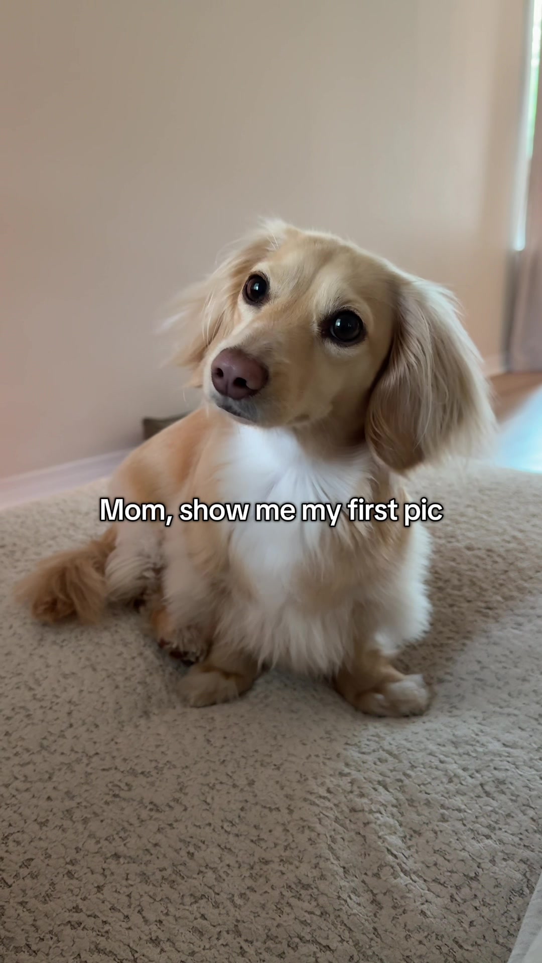 @Billiebeantheween