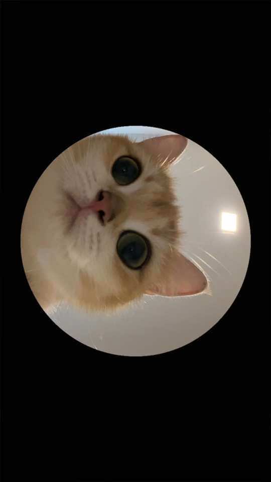 @Bobby &Uacute; N&ugrave; (v&agrave; cả Bơ &Uacute; nữa)