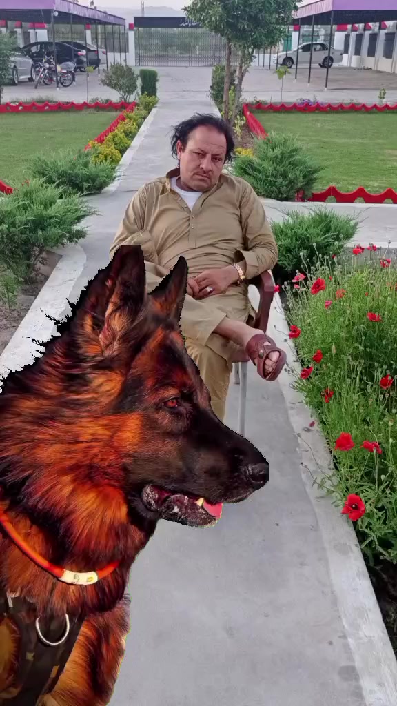 @🧡🤎💛Malak Namat Allah💙💜💚