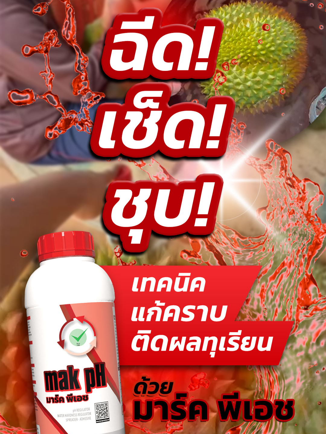 @ตราหญิงงาม