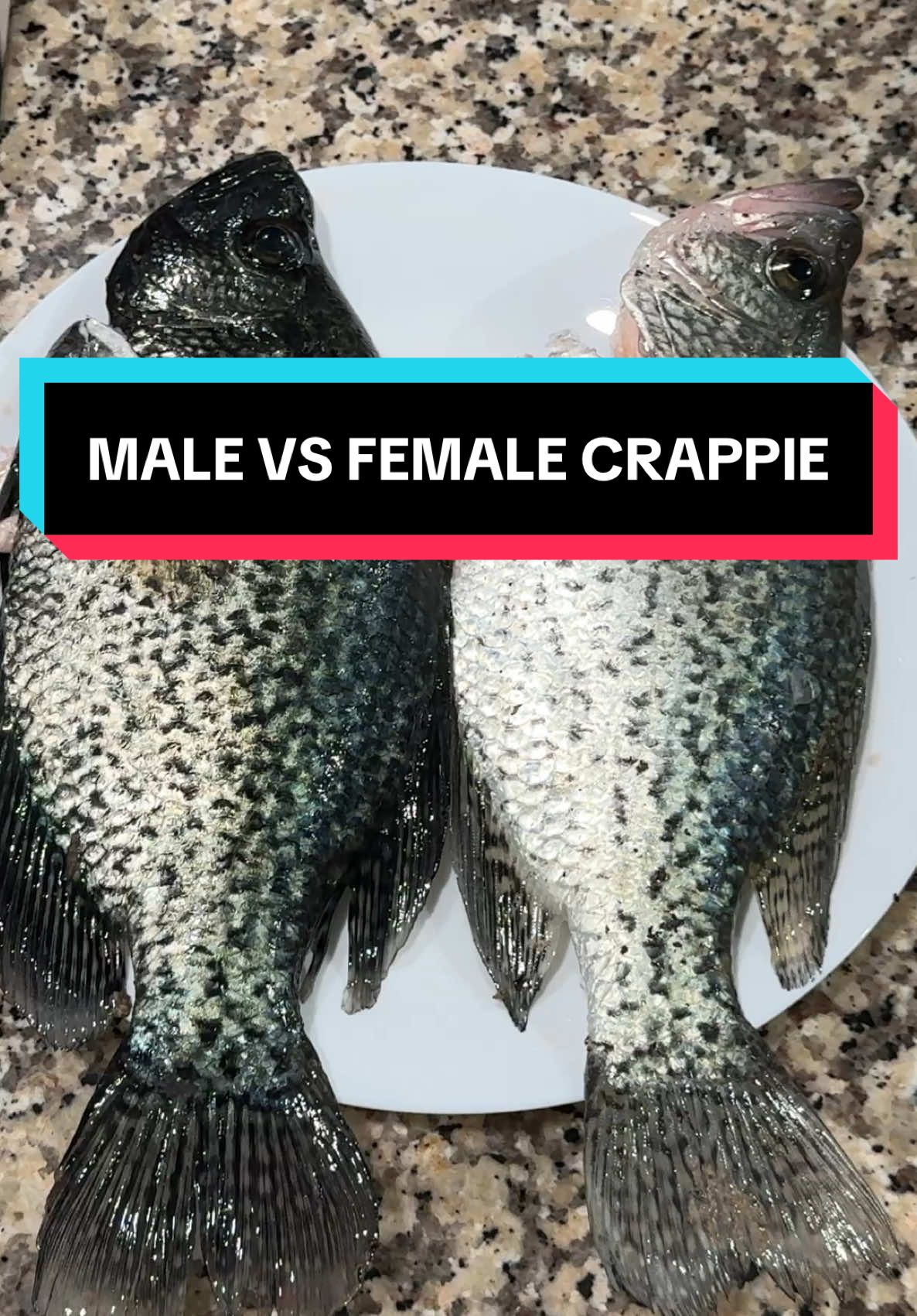@Grateful Fishing Tv