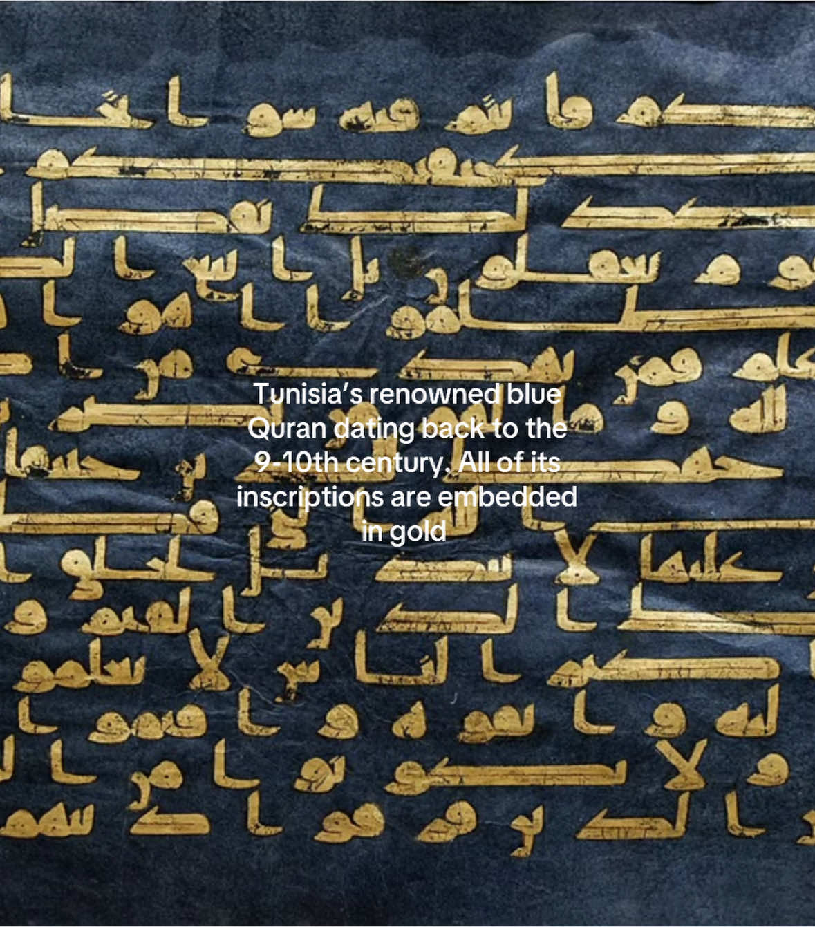 @Hamza 🇹🇳🇵🇸