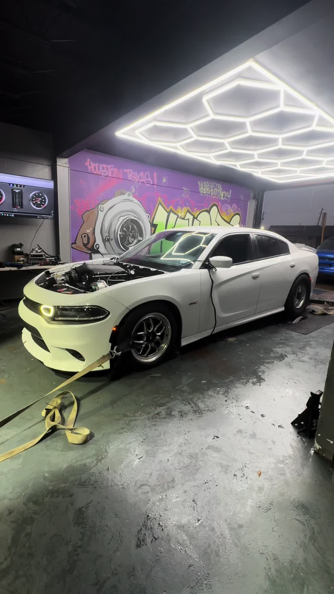 @Onefastscat