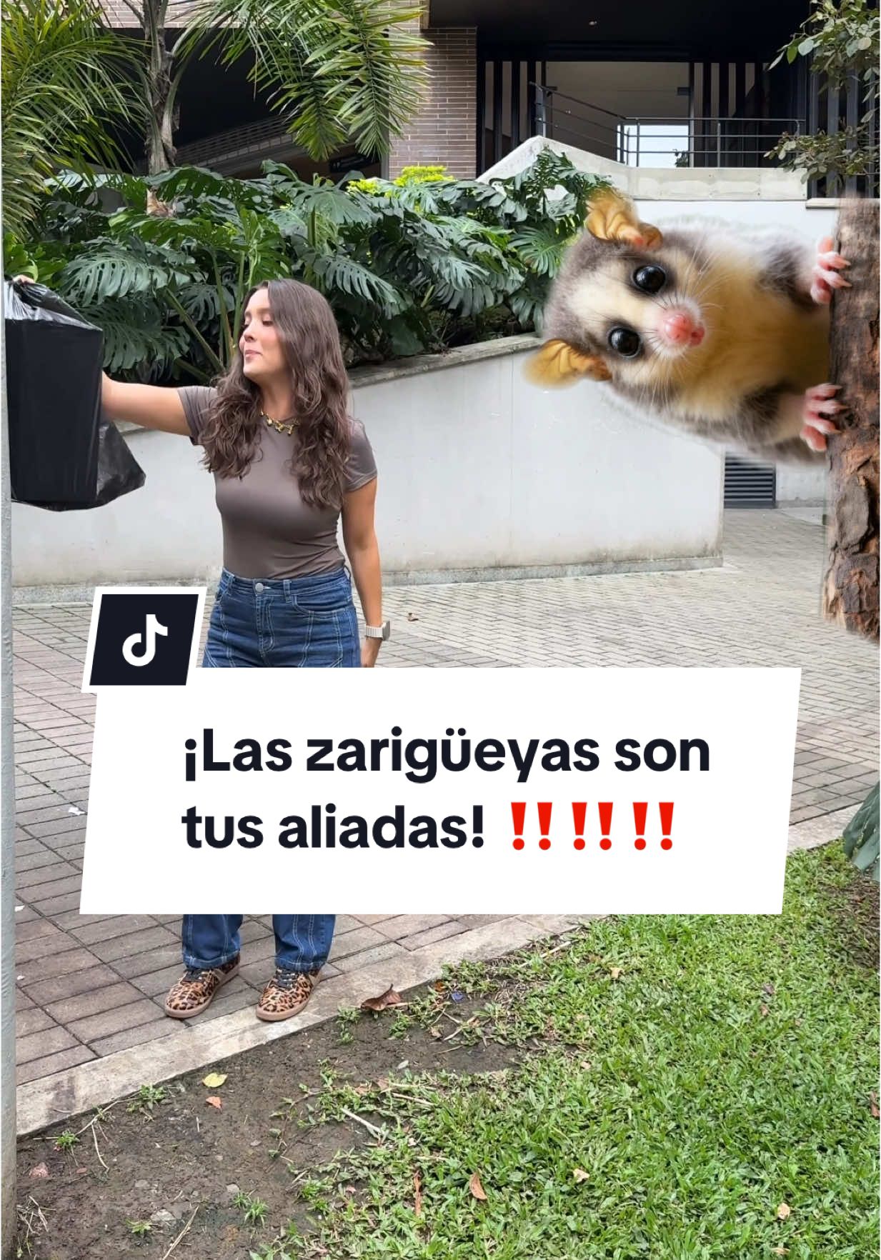 @Laura Londo&ntilde;o