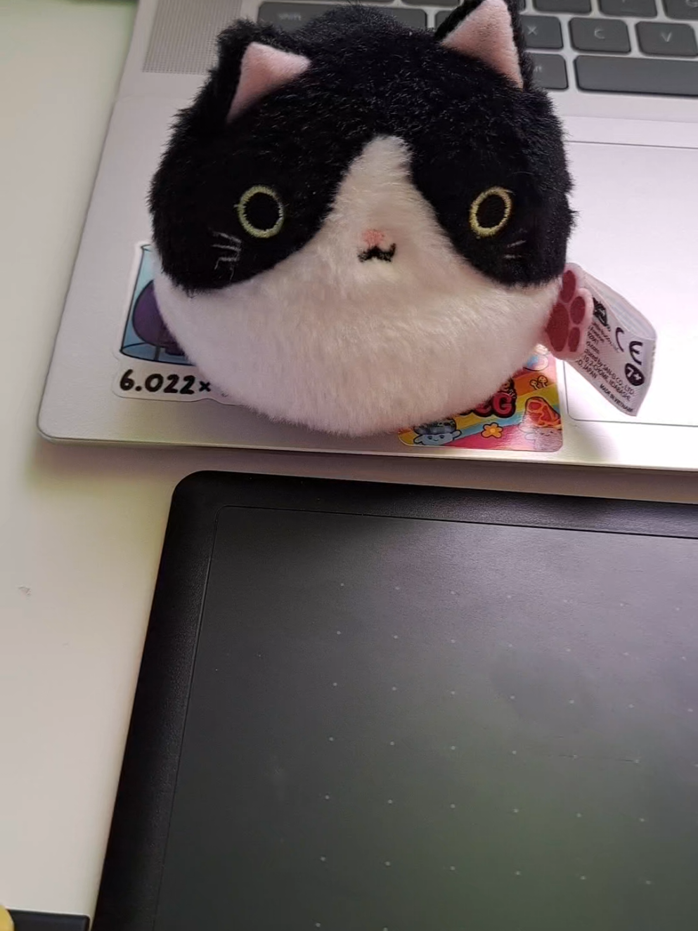 @floof192