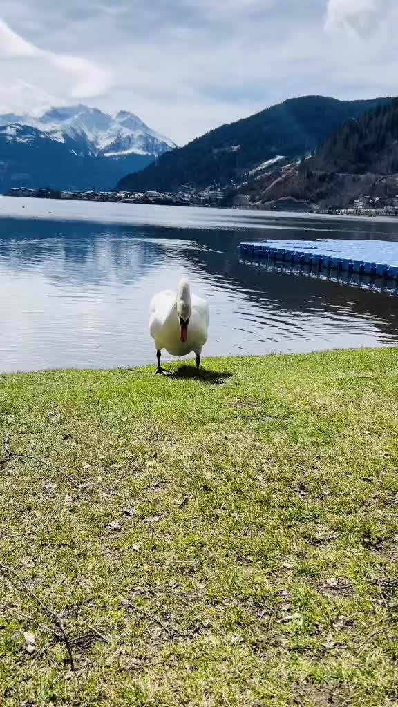 @zellamseelive📸🏔️🇦🇹❤️