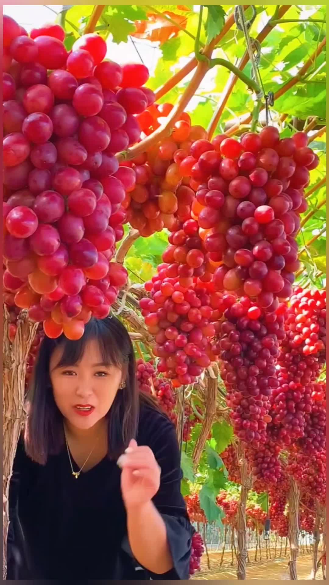 @lovefruits68