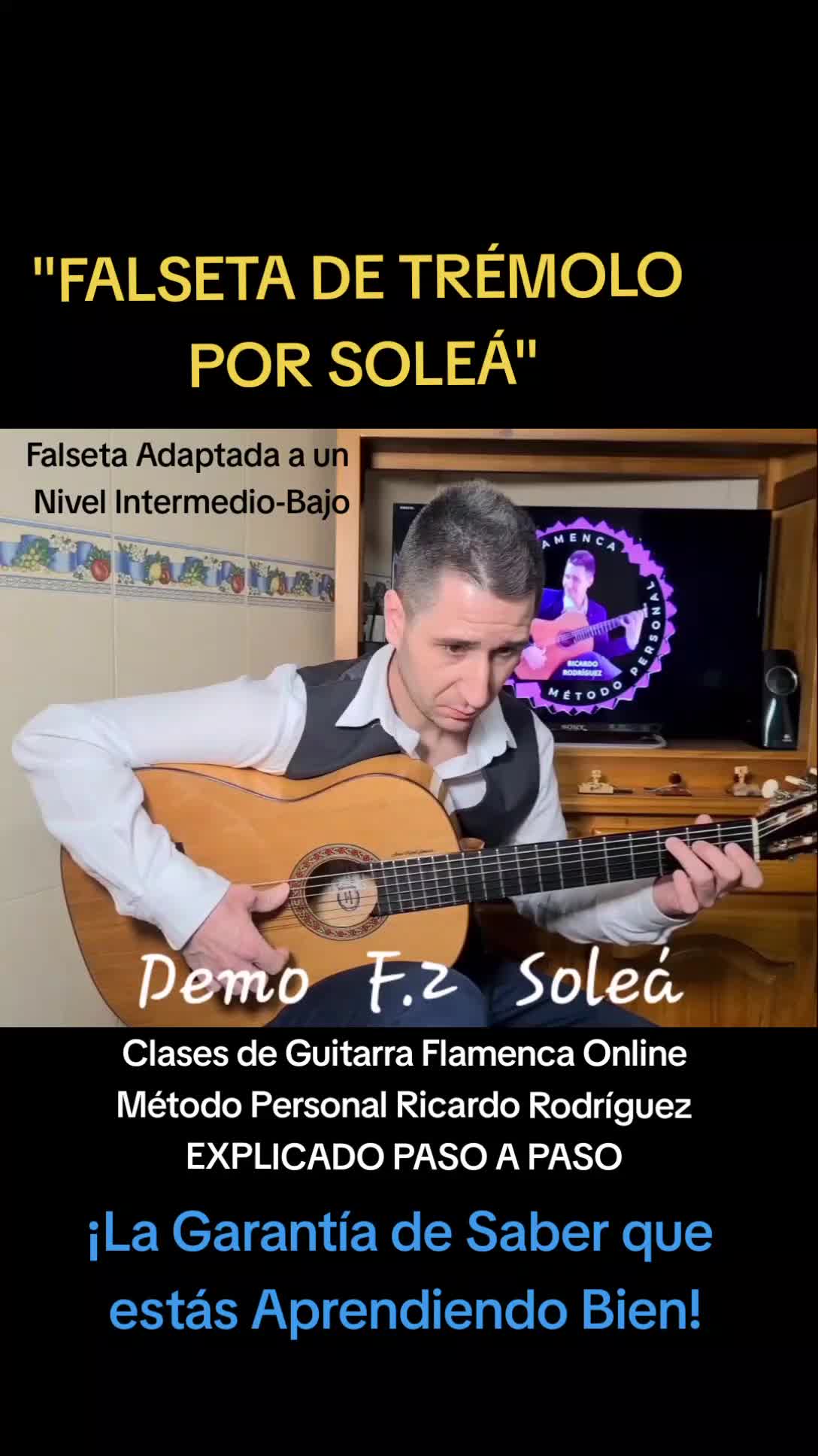 @&iexcl;GUITARRA FLAMENCA ONLINE!