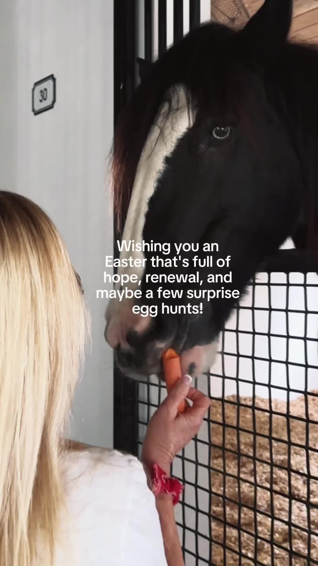 @cowhidesdirect