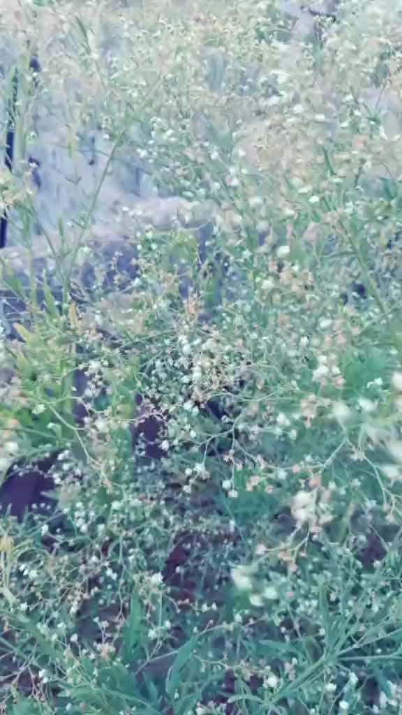 @tharneeshmani