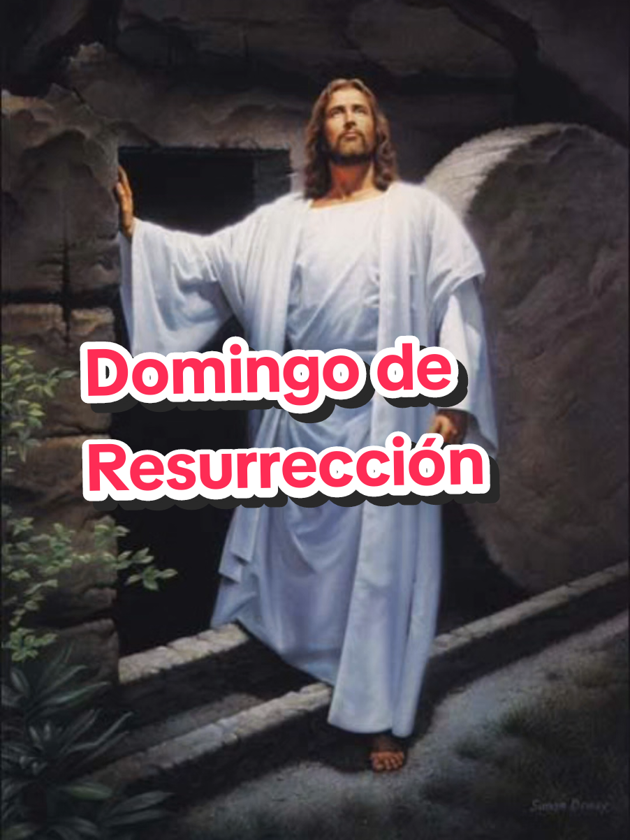 @Evelyn Lorenzo