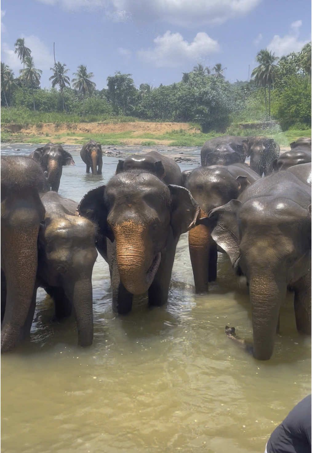@Kethaki Padmaperuma