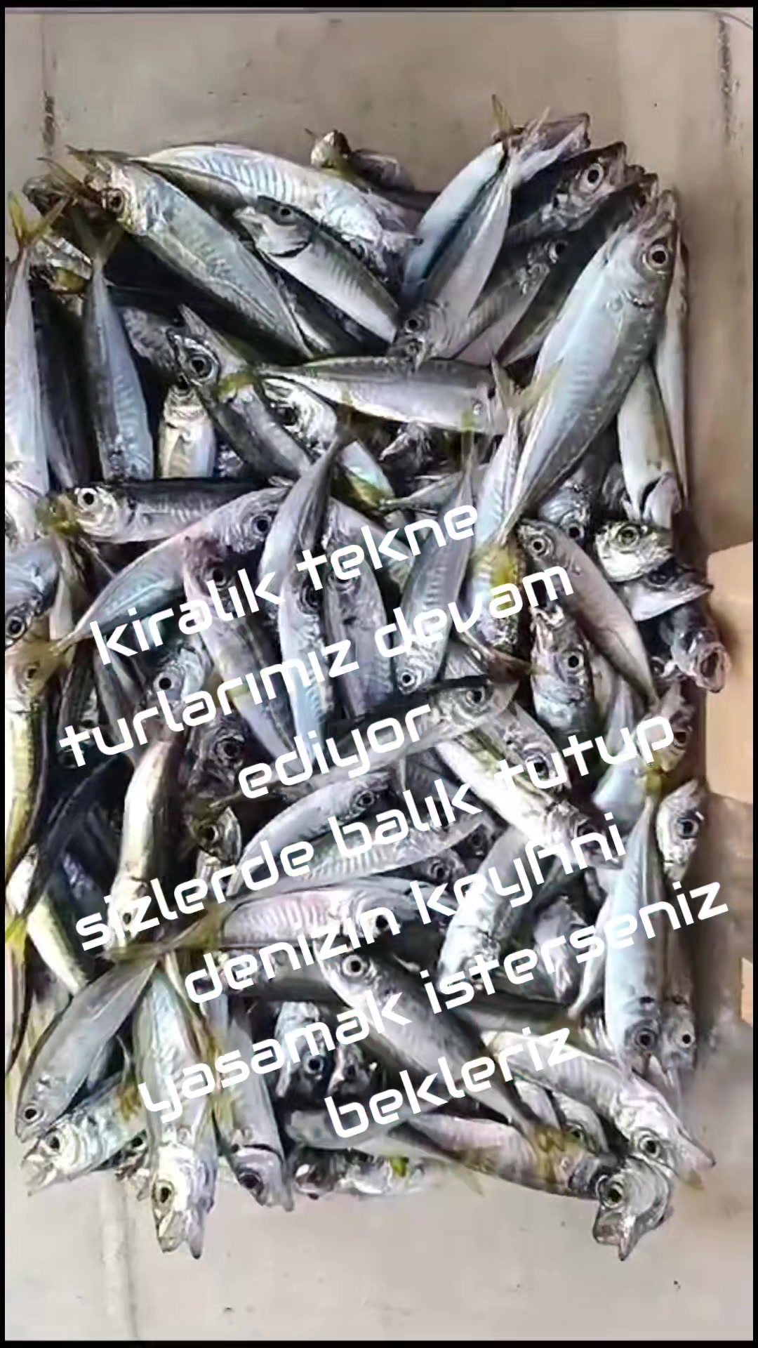 @SeRCan KaPTaNLa TeKNe KeYFi