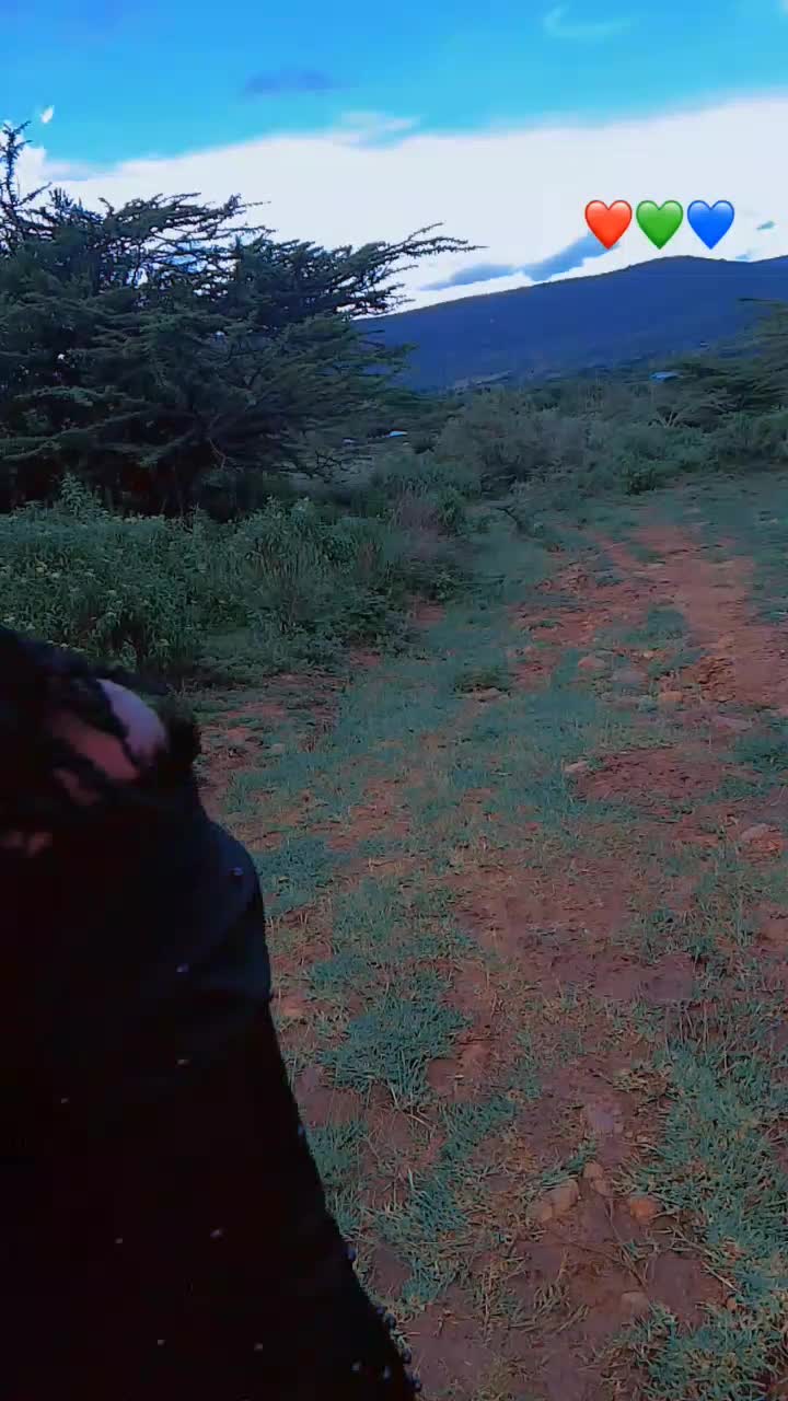 @tracypiloyia