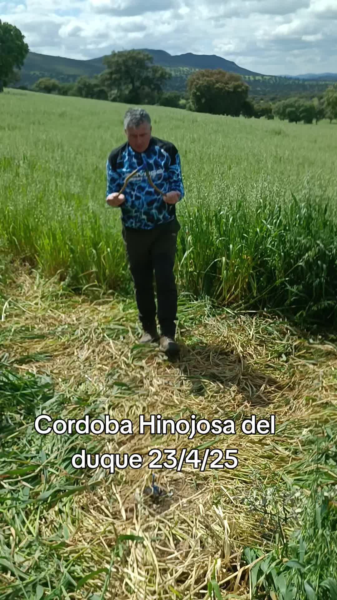 @Zahori Blas Moreno