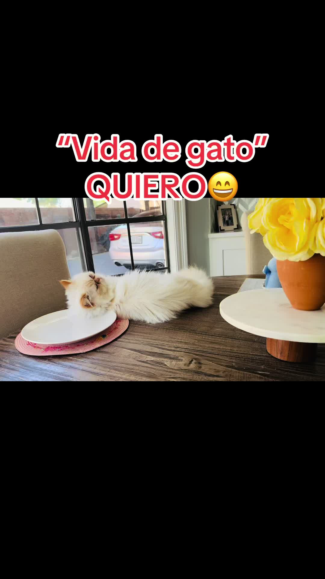 @Primy Mar🫡Casas de renta