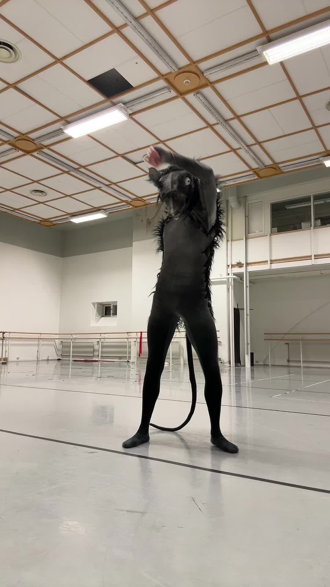 @mr_rat_official_