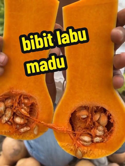 @Toko berkah jaya