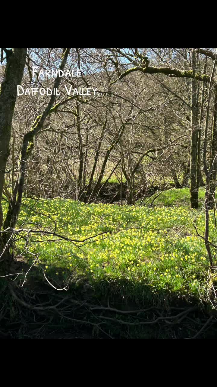 @Days Out Yorkshire