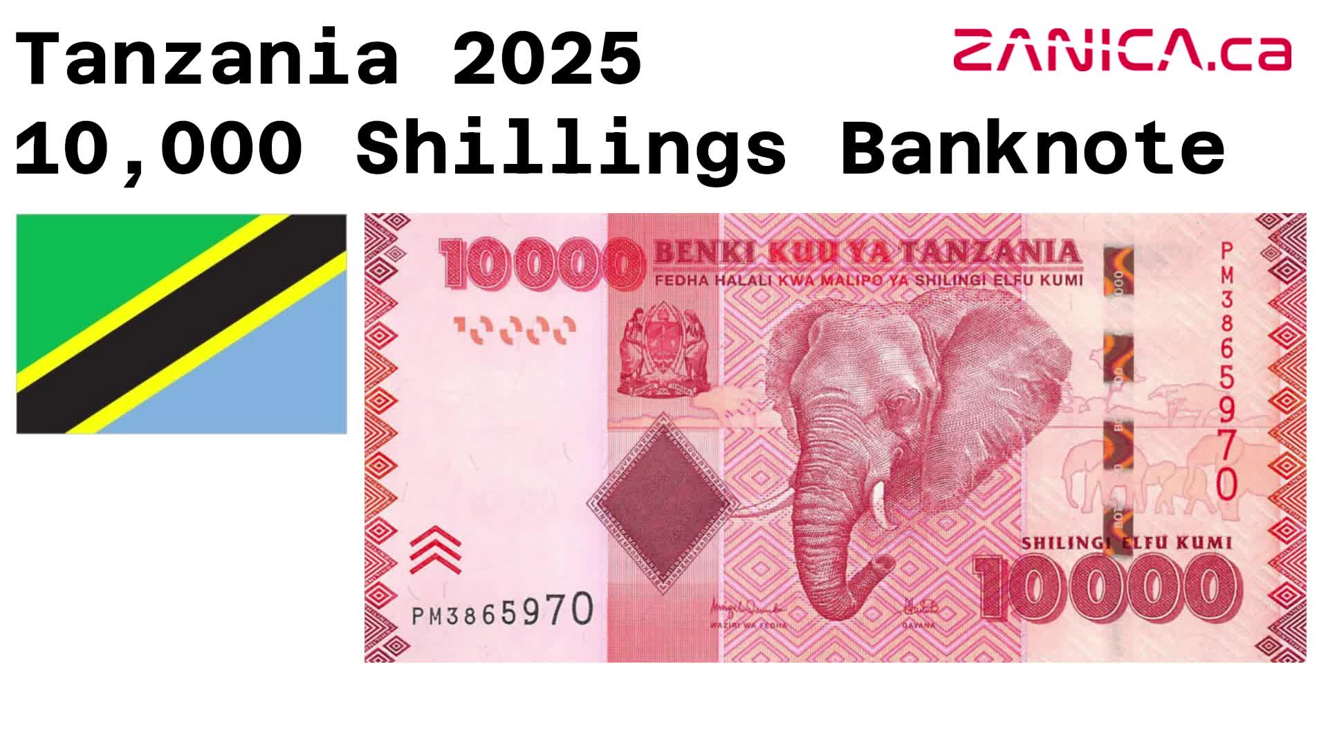 @Zanica.ca