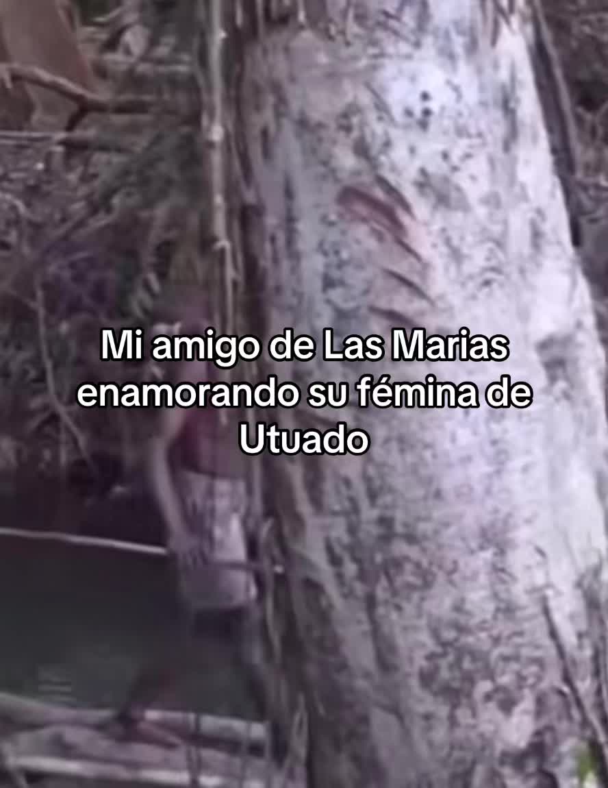 @Alambritotv