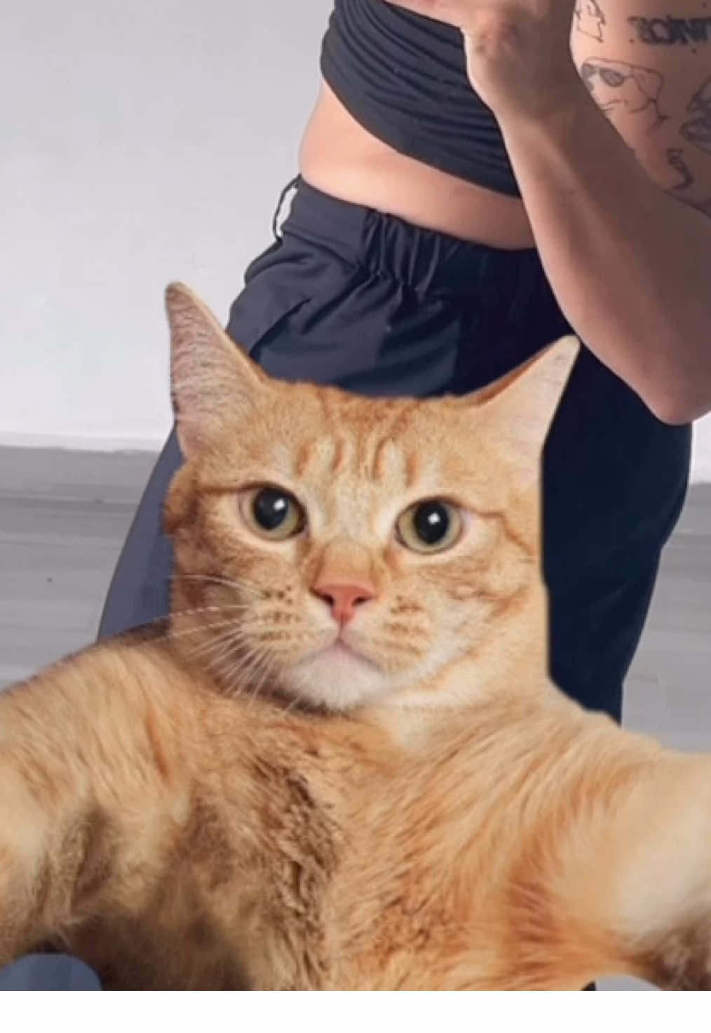 @Van