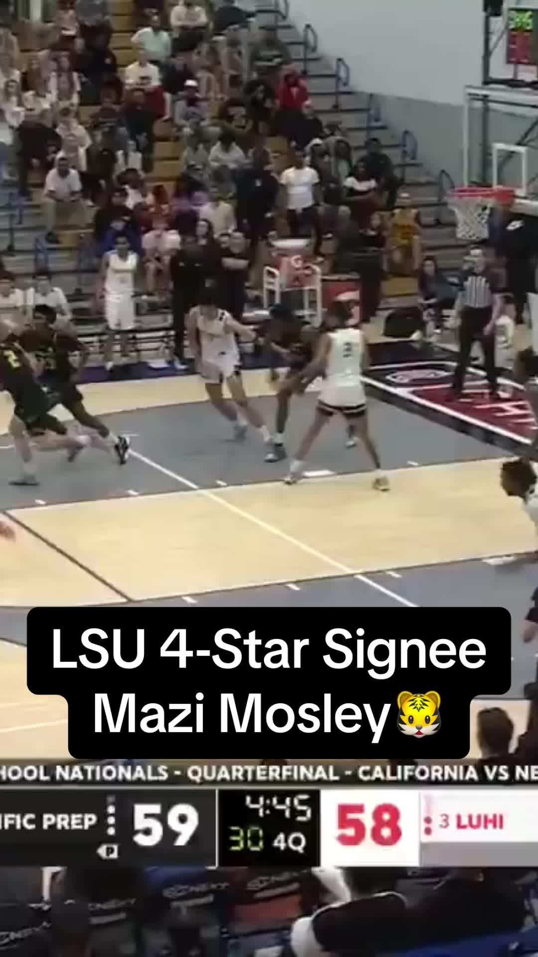@lsu.sports7