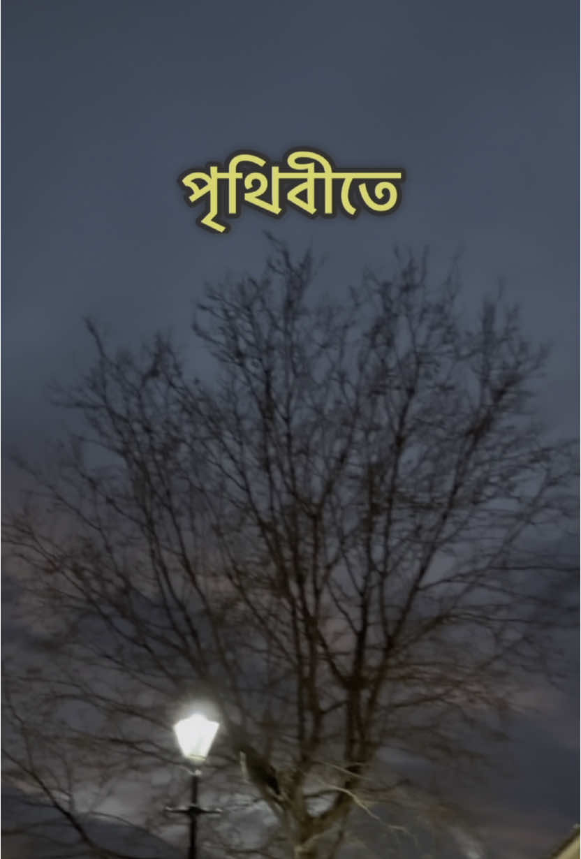 @✨💫🌙