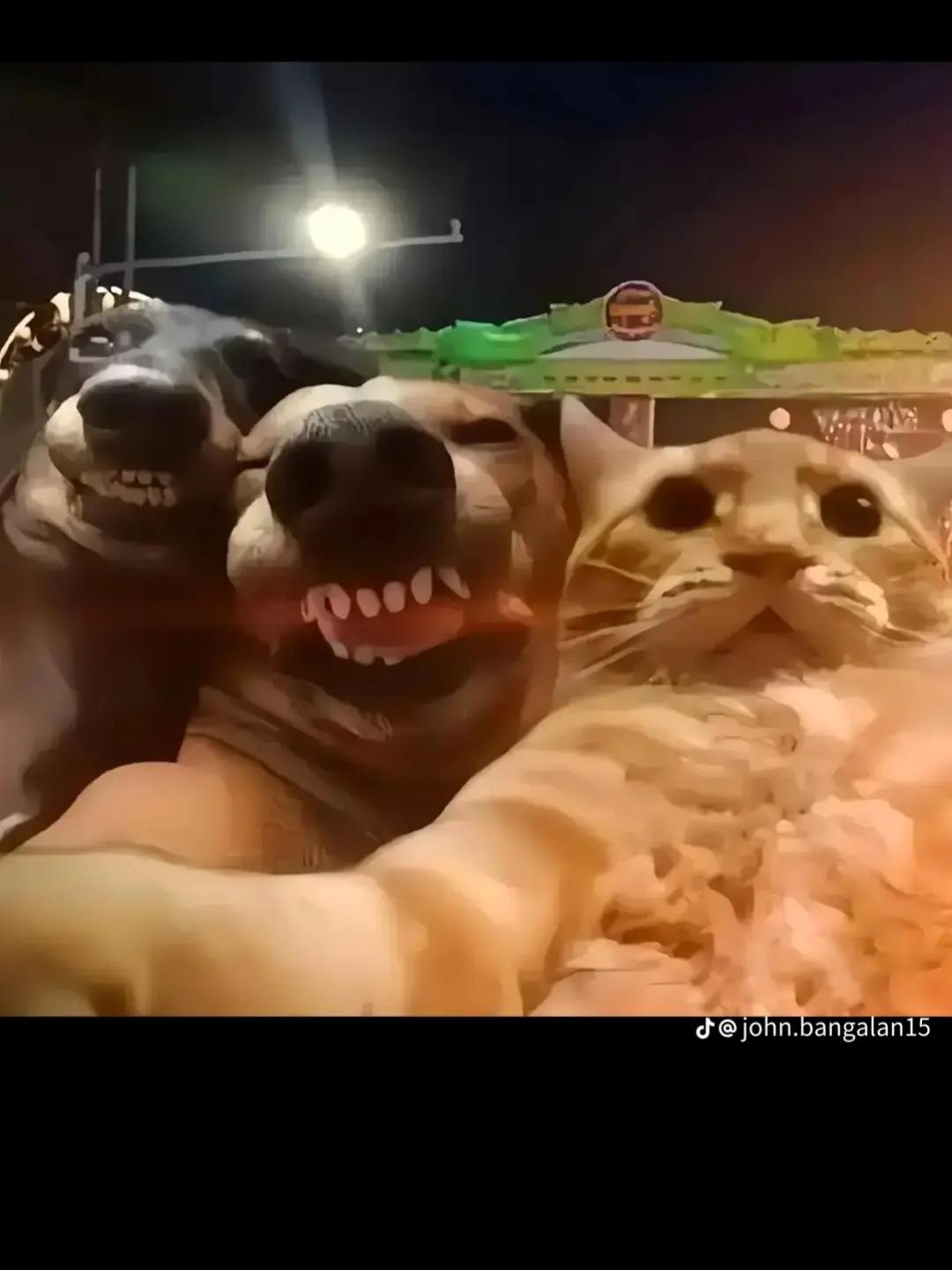 @sipatnabugoy