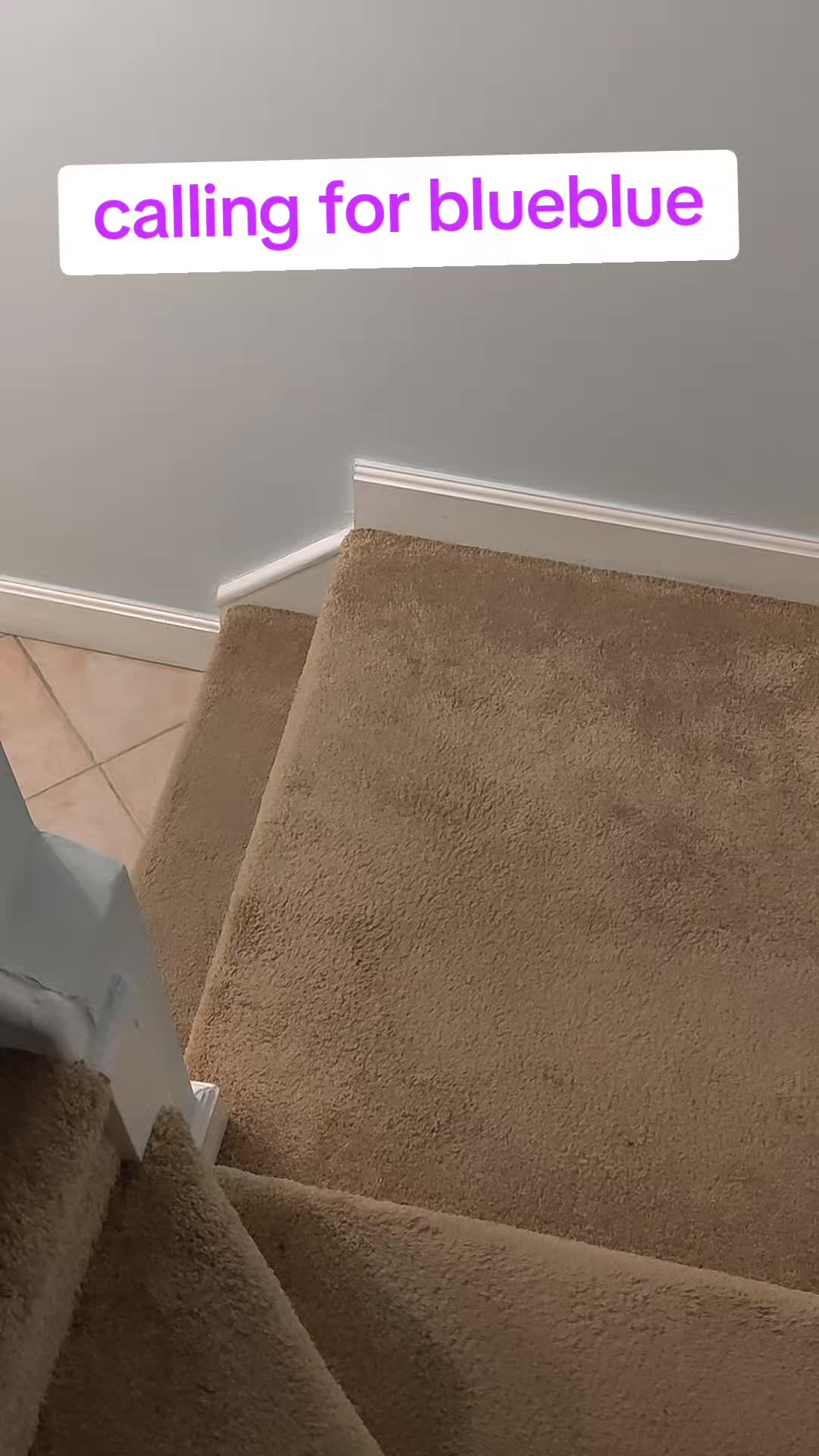 @Kittyboi