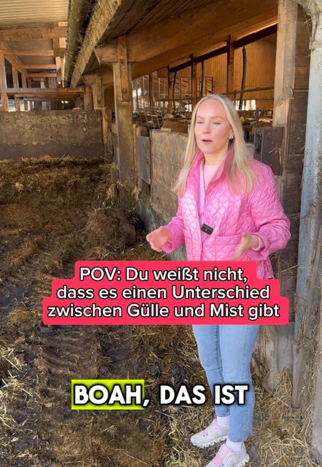 @Schwenks-Hofleben | SWR Heimat